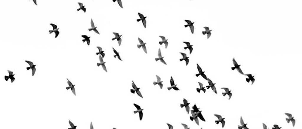 Mehdi sepehri c X0 Yxw38cx8 unsplash